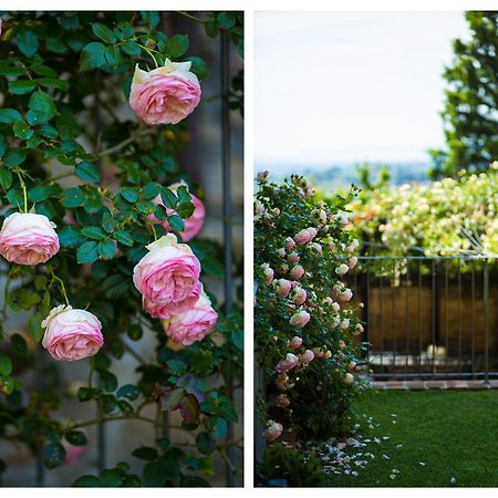 Ferienwohnung The Tower's Garden San Gimignano Exterior foto